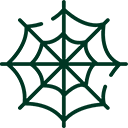 icon-f-spider-web